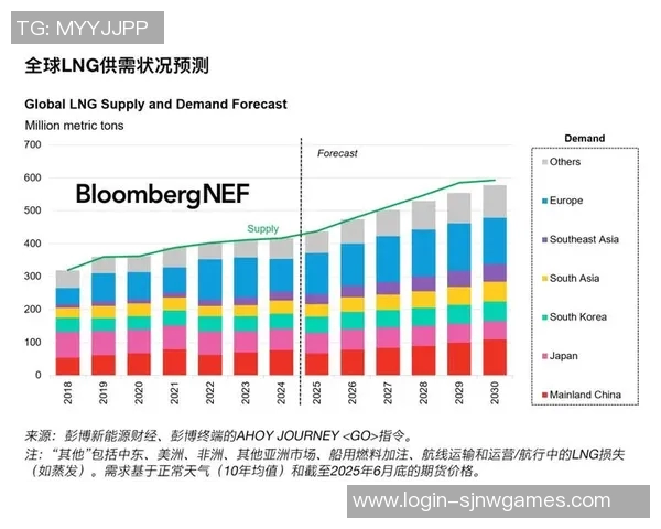 深入分析LNG市场的防反策略与应对措施探讨 深入分析LNG市场的防反策略与应对措施探讨
